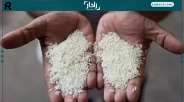 أسعار الأرز في الأسواق المصرية اليوم الأحد 26 أكتوبر 2025 بجميع أنواعه